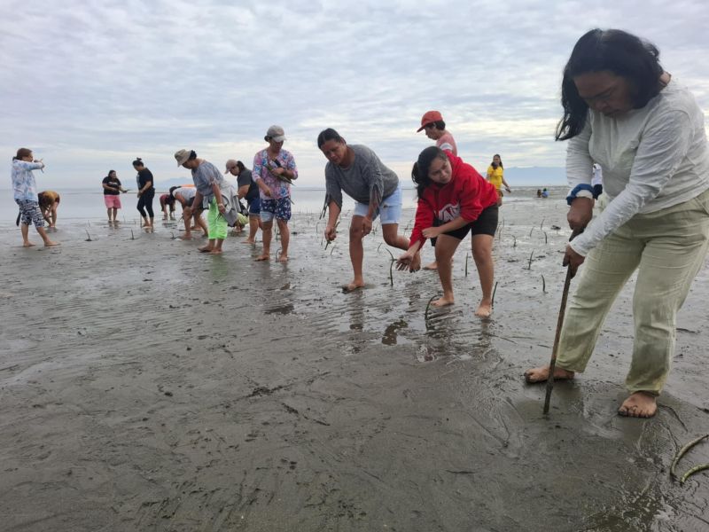 e514f6b7 e930 46df 9c67 91fa6bf391fc