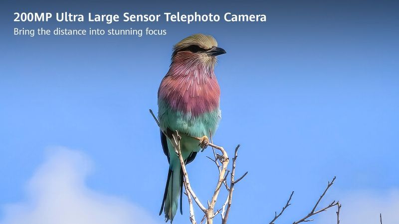 200MP Ultra Large Sensor Telephoto Camera