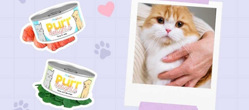 Holiday Specials: Delightful Deals for You and Your Furry Friends Purr Delight Cat Food Taste that makes every purr count