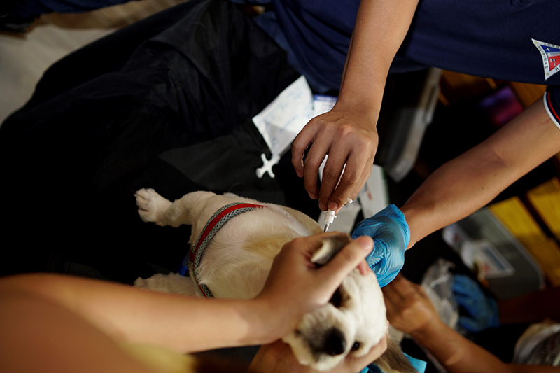 PR Robinsons Malls HPC Vet Appreciation Day Pet Bakuna 2
