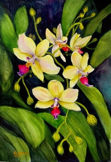 “Fluid Vision”: A celebration of watercolor in ARTablado PR ARTablado Presents Fluid Vision Luminescent Orchids by Cecilia Lagrosa Manuel MD