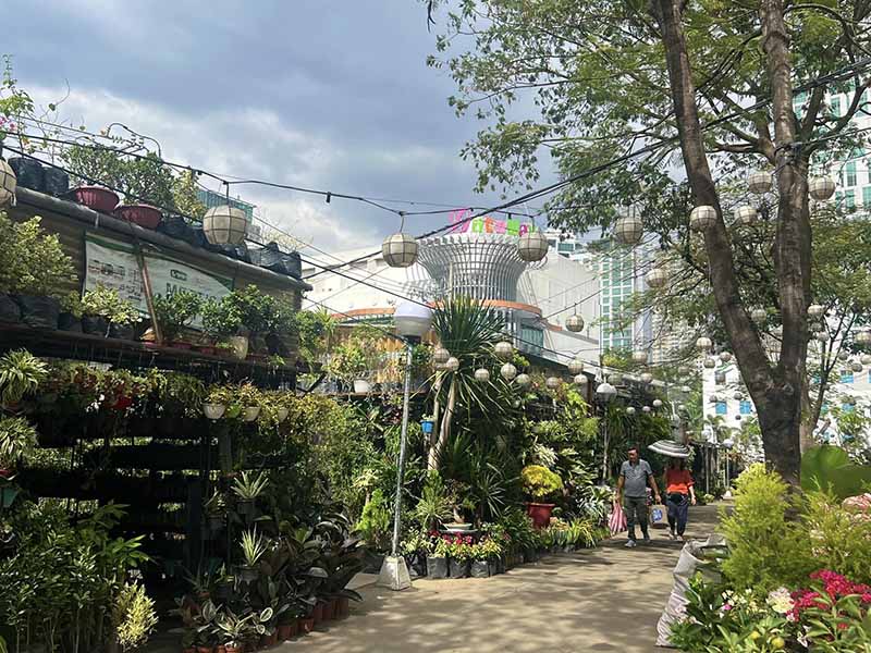 Green retreats at the City of Firsts farmers garden 01